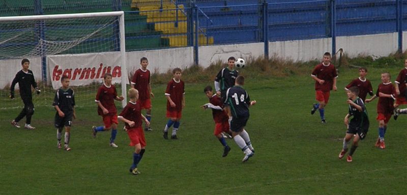 PA290168.jpg